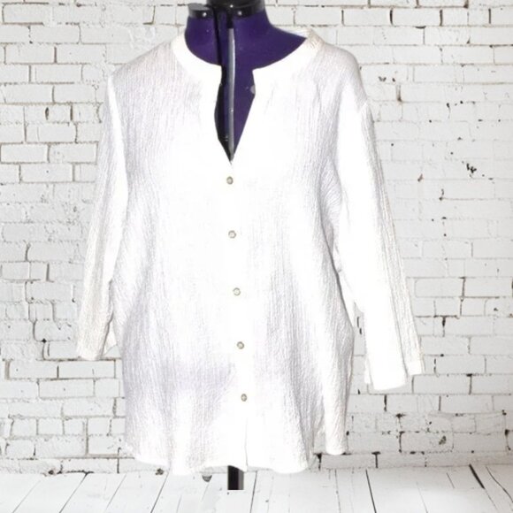 Analogy Woman Button Front Gauze Style Blouse Plus Size 2X - Picture 1 of 6